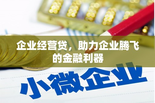 靖西企业经营贷，助力企业腾飞的金融利器