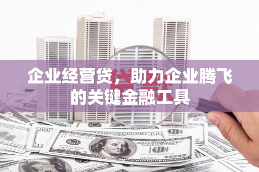 靖西企业经营贷，助力企业腾飞的关键金融工具