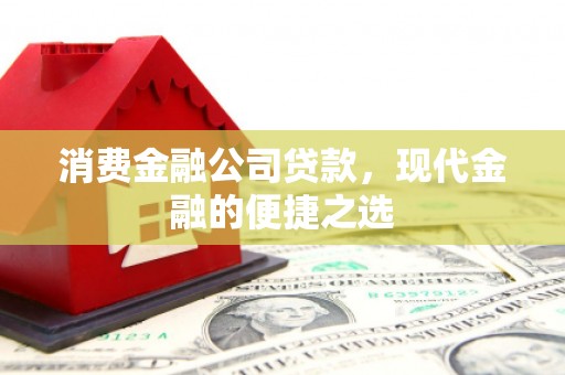 靖西消费金融公司贷款，现代金融的便捷之选
