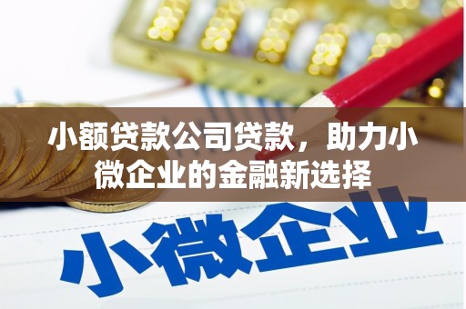 靖西小额贷款公司贷款，助力小微企业的金融新选择