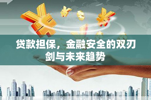 靖西贷款担保，金融安全的双刃剑与未来趋势
