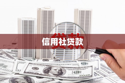 靖西信用社贷款