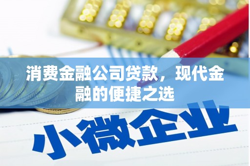 靖西消费金融公司贷款，现代金融的便捷之选