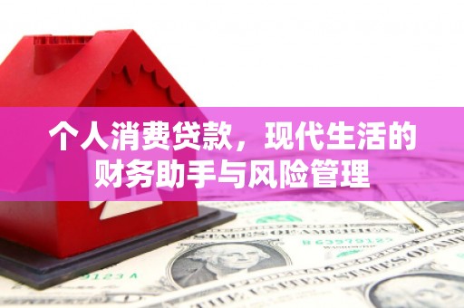 靖西个人消费贷款，现代生活的财务助手与风险管理
