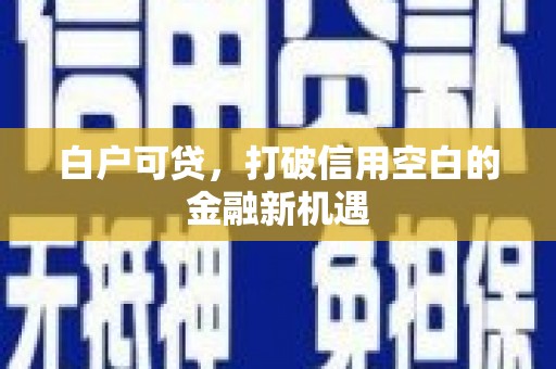 靖西白户可贷，打破信用空白的金融新机遇