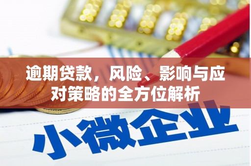 靖西逾期贷款，风险、影响与应对策略的全方位解析