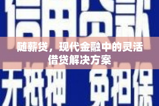 靖西随薪贷，现代金融中的灵活借贷解决方案