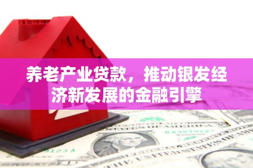 靖西养老产业贷款，推动银发经济新发展的金融引擎