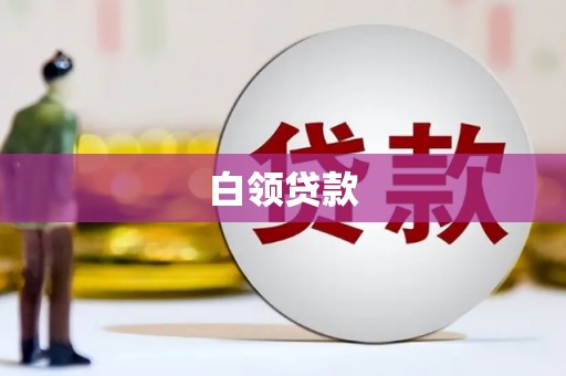 靖西白领贷款