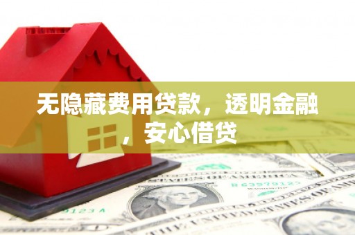 靖西无隐藏费用贷款，透明金融，安心借贷