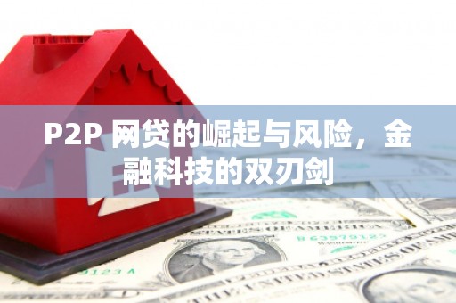 靖西P2P 网贷的崛起与风险，金融科技的双刃剑