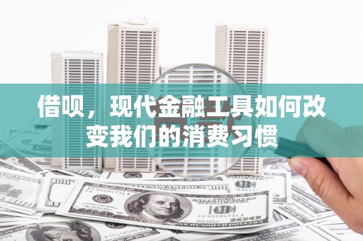 靖西借呗，现代金融工具如何改变我们的消费习惯