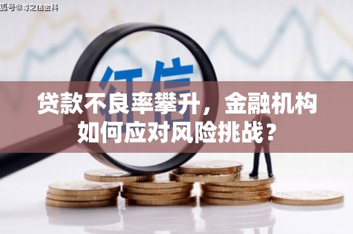 靖西贷款不良率攀升，金融机构如何应对风险挑战？