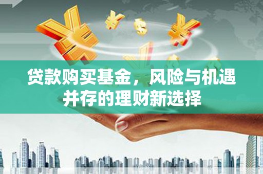 靖西贷款购买基金，风险与机遇并存的理财新选择