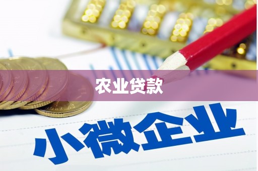 靖西农业贷款