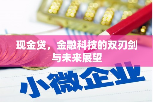 靖西现金贷，金融科技的双刃剑与未来展望