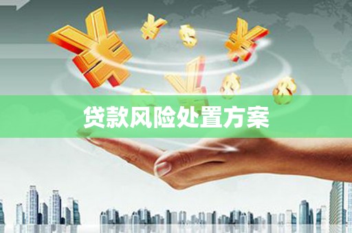 靖西贷款风险处置方案
