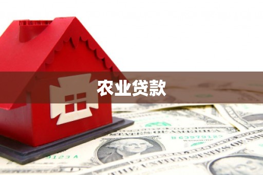 靖西农业贷款