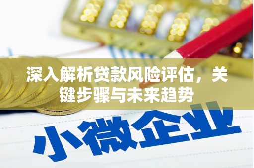 靖西深入解析贷款风险评估，关键步骤与未来趋势