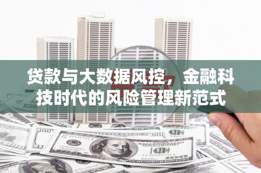靖西贷款与大数据风控，金融科技时代的风险管理新范式