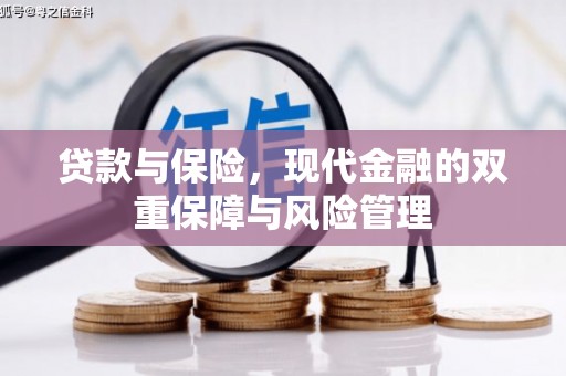 靖西贷款与保险，现代金融的双重保障与风险管理