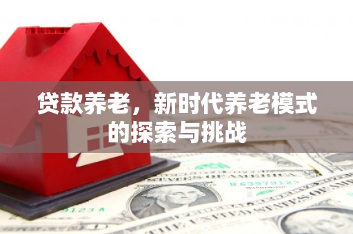 靖西贷款养老，新时代养老模式的探索与挑战