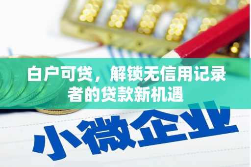 靖西白户可贷，解锁无信用记录者的贷款新机遇