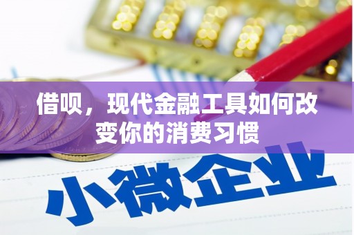 靖西借呗，现代金融工具如何改变你的消费习惯