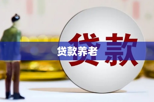 靖西贷款养老