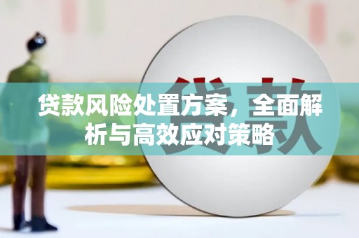 靖西贷款风险处置方案，全面解析与高效应对策略