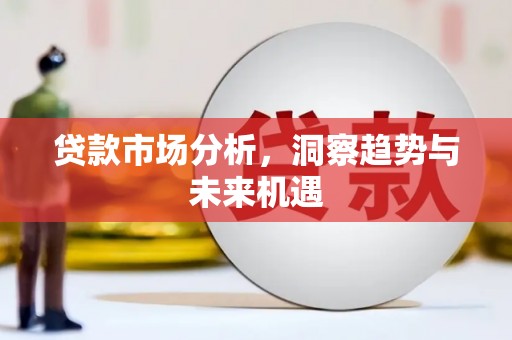 靖西贷款市场分析，洞察趋势与未来机遇