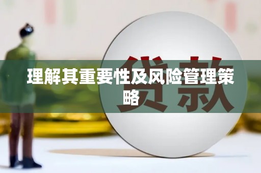 靖西理解其重要性及风险管理策略