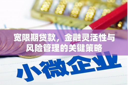 靖西宽限期贷款，金融灵活性与风险管理的关键策略