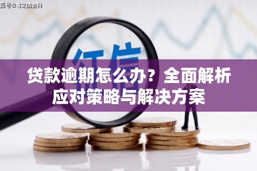 靖西贷款逾期怎么办？全面解析应对策略与解决方案