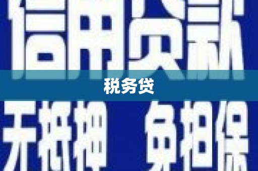 靖西税务贷