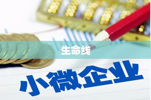 靖西生命线