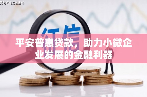 靖西平安普惠贷款，助力小微企业发展的金融利器