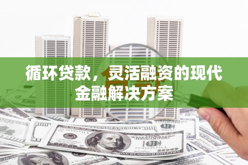 靖西循环贷款，灵活融资的现代金融解决方案