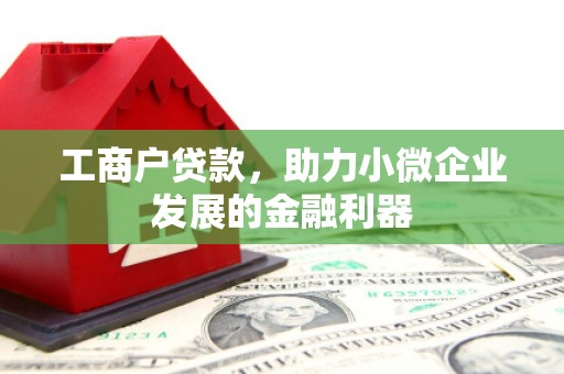 靖西工商户贷款，助力小微企业发展的金融利器