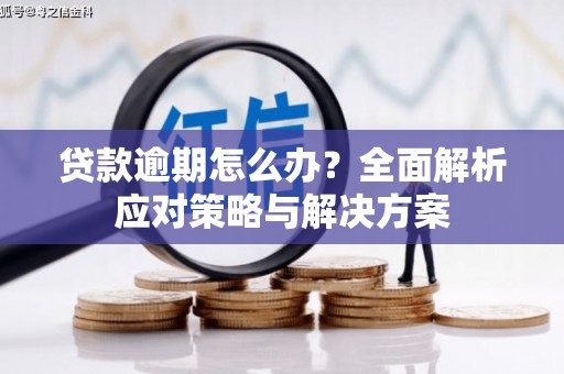 靖西贷款逾期怎么办？全面解析应对策略与解决方案