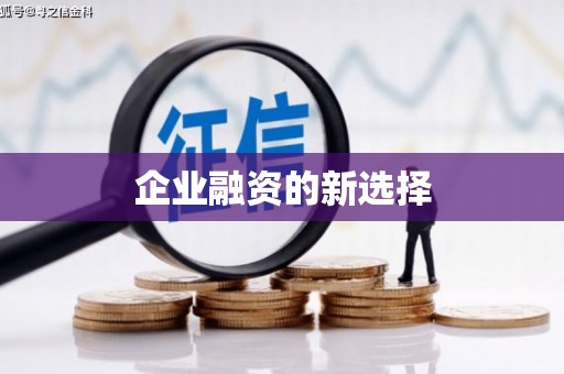 靖西企业融资的新选择