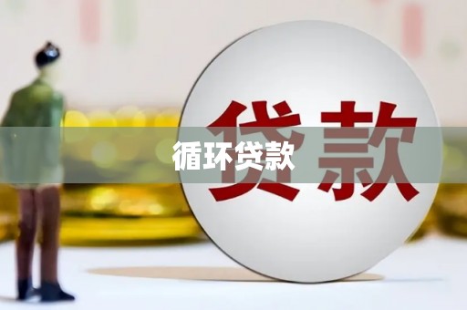 靖西循环贷款