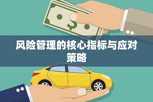 靖西风险管理的核心指标与应对策略