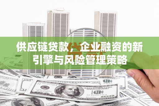靖西供应链贷款，企业融资的新引擎与风险管理策略