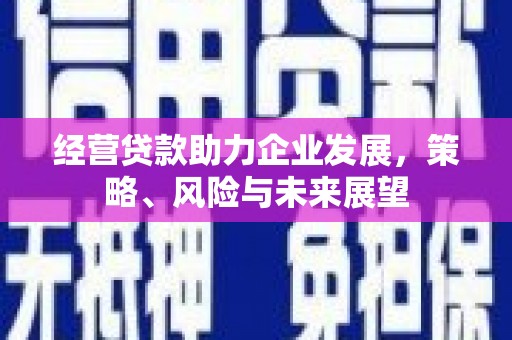 靖西经营贷款助力企业发展，策略、风险与未来展望