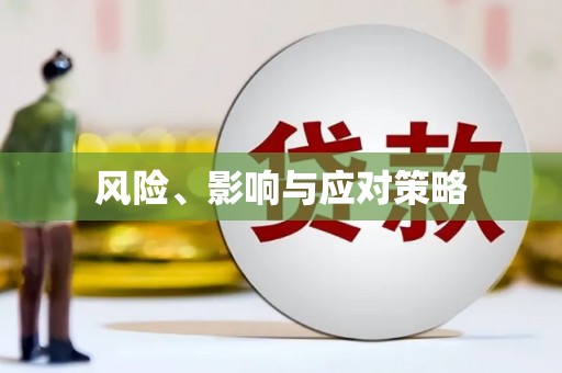 靖西风险、影响与应对策略