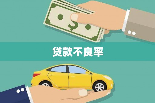 靖西贷款不良率
