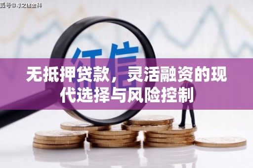靖西无抵押贷款，灵活融资的现代选择与风险控制