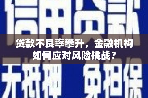 靖西贷款不良率攀升，金融机构如何应对风险挑战？