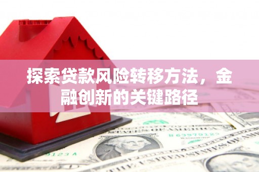 靖西探索贷款风险转移方法，金融创新的关键路径